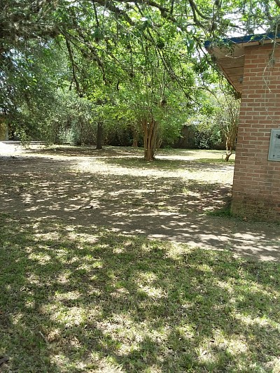 court yard, outdoors, beautiful
