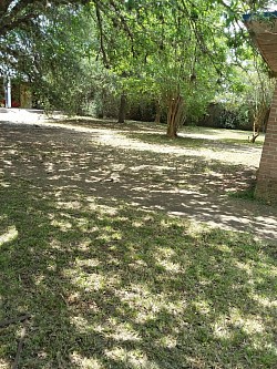 outdoors, social distance, landscape