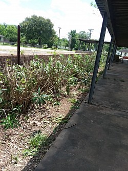 outdoors, social distance, grounds